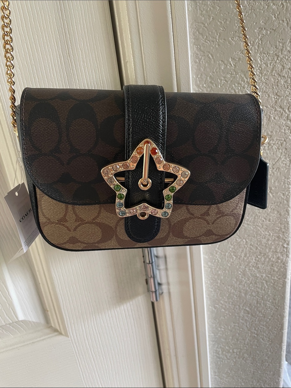 Coach Signature Canvas Star-Embellished Crossbody Bag in Brown